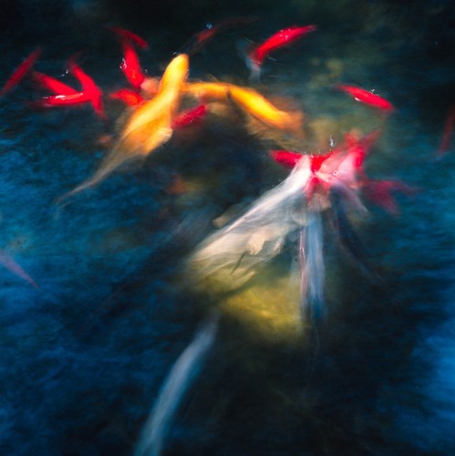 Water series #19