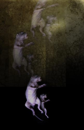Ascension 2