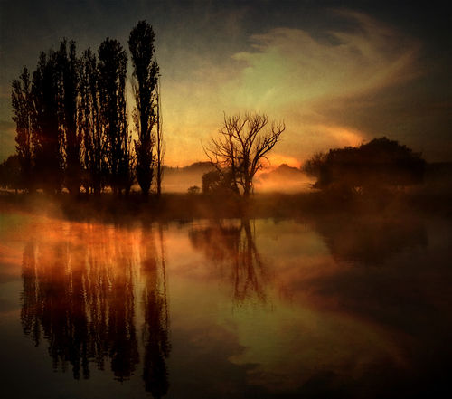 Foggy Morning