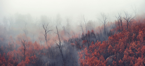 Gibralter Fires