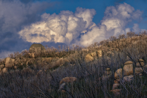 Mt Buffalo
