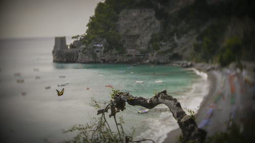 BUTTERFLY @ FORNILLO POSITANO