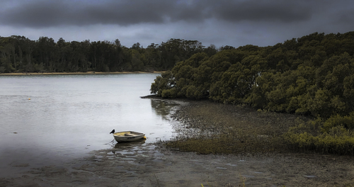 Low Tide Minnamurra River