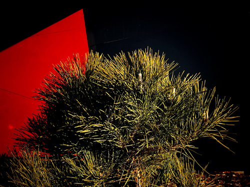 Red Backdrop