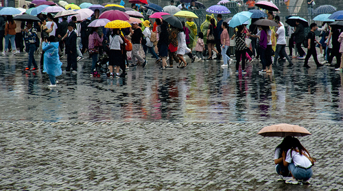 Umbrella Tourists