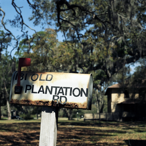 Plantation Road