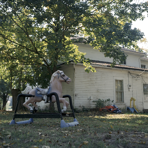Rocking Horse