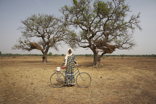Animata and Bicycle