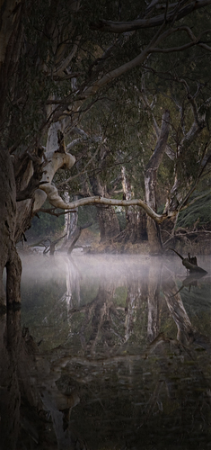 Campaspie River Rochester, Australia