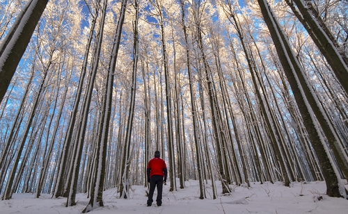 Walking In The Winter Empire