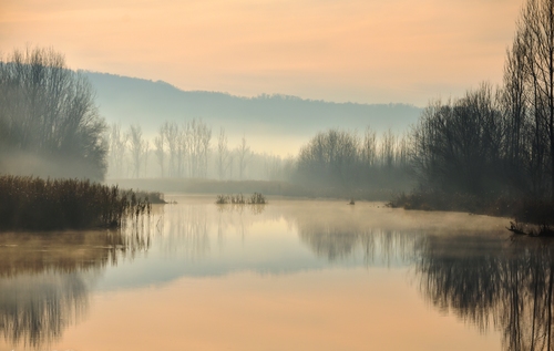 Morning  to Lake