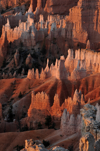 Bryce