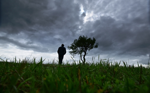 Tree and Me