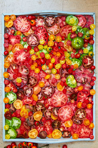 Joy of tomatoes 