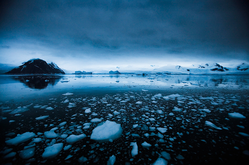 Blue Night. Nekko Bay, Antarctica