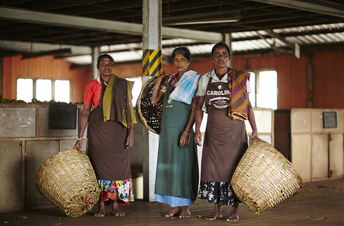 Tea Workers, Sri Lanka