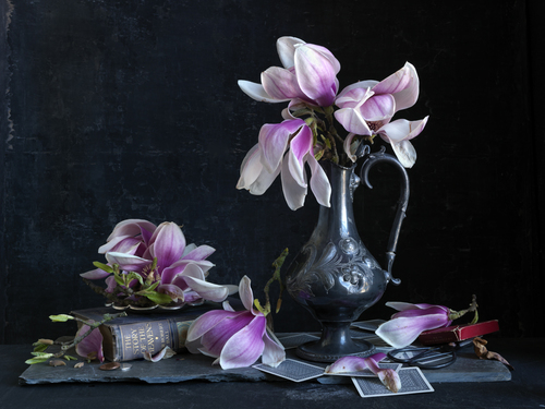 The Story Of The Heavens, Magnolia