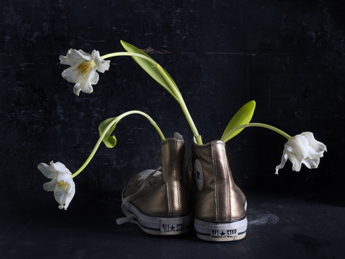 All Stars & Tulips