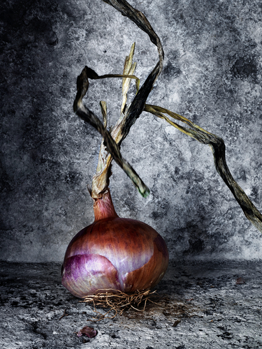 One Onion