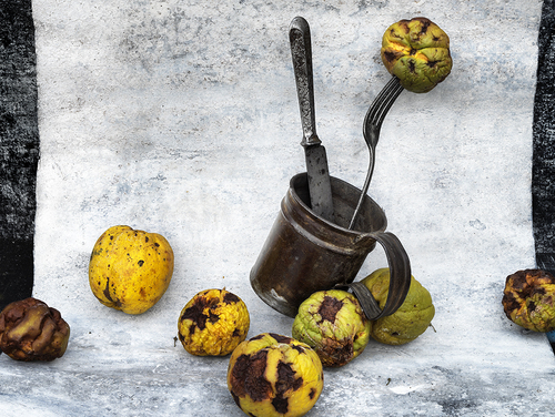 Dancing Quince with Knife, Fork & Mug