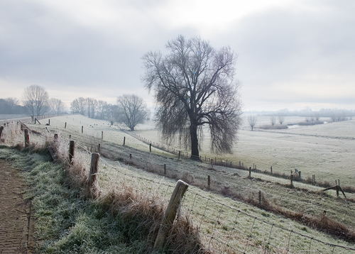 Simple Dutch Landscape