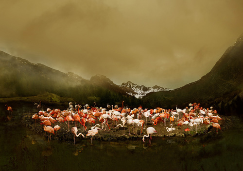 Gentle Highlands
