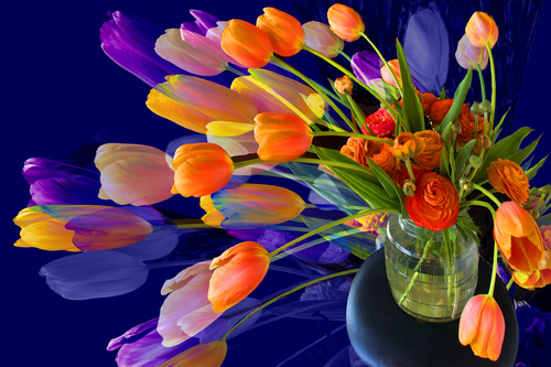 Tulip Dance