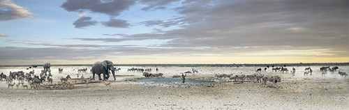 m'bari panorama, namibia