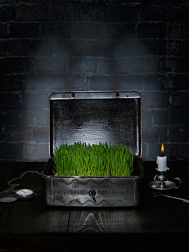 The Last Greenery