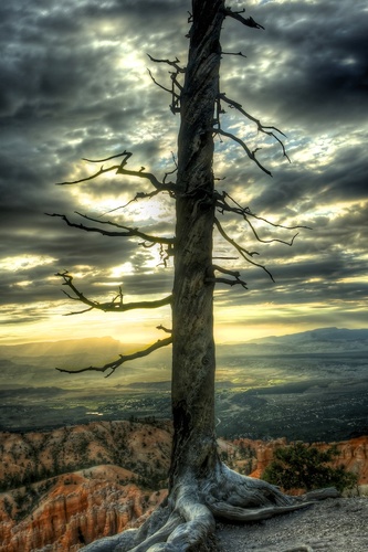 Inspiration Sunrise