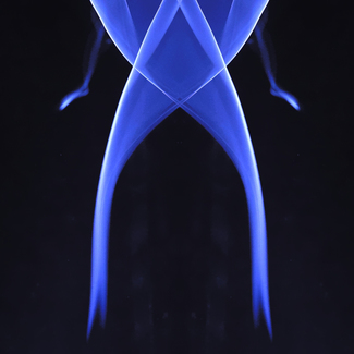 Color Awards Winners and Nominees
