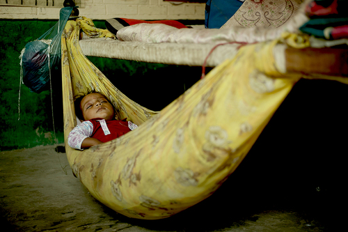 A Blissful Cradle