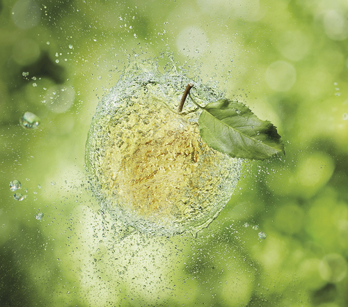 Appleman's Cider