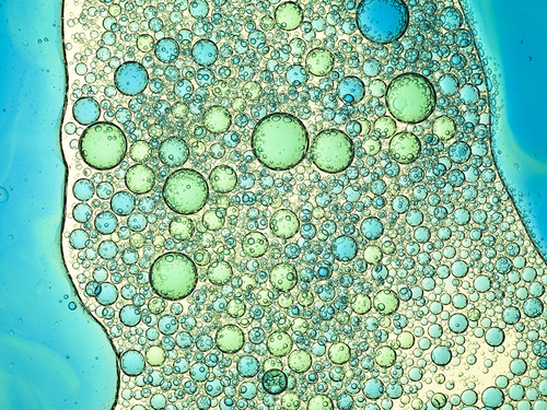 Patterns Will Emerge - Blue