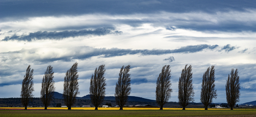 Skagit Valley, Washington