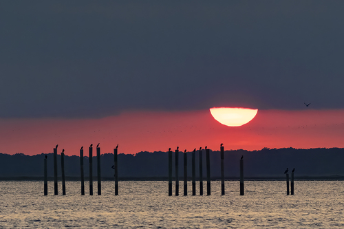 Island Sunset