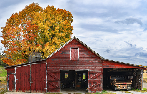 Sugar Mill Farm