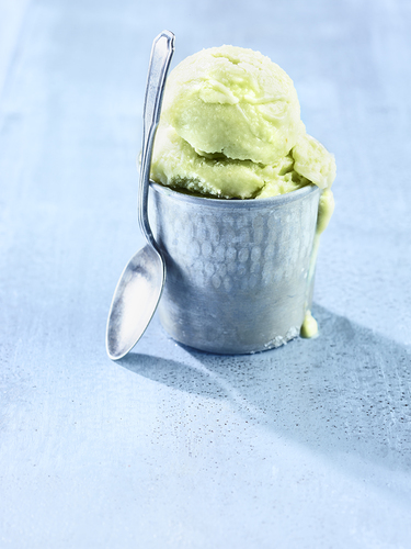 Avocado Sorbet