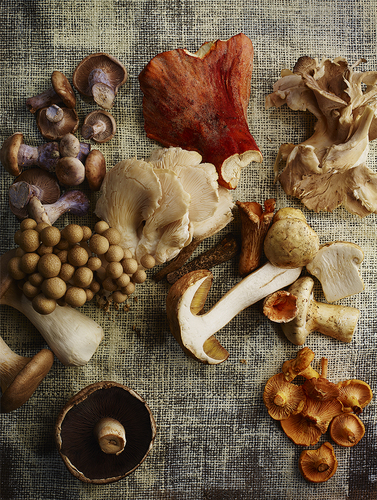 Mushrooms