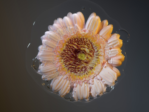 Vivid Herbarium #1_3_C