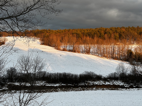 Snow scape in Rust 