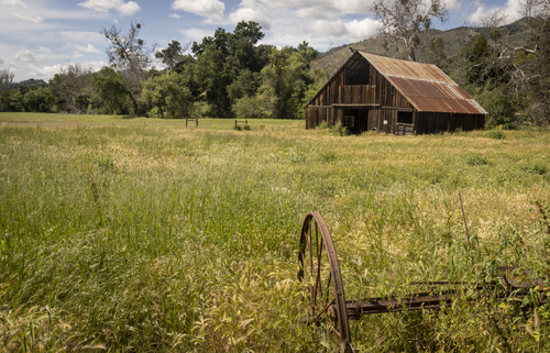Old Barn In The Spring