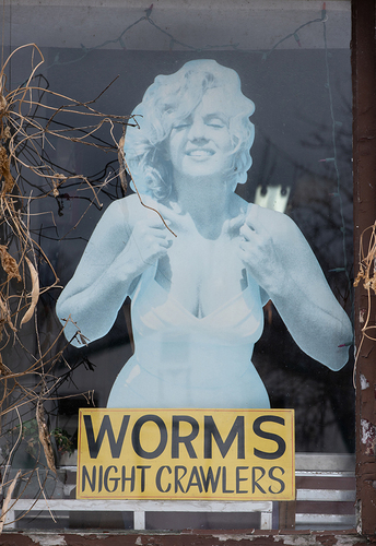 Worms