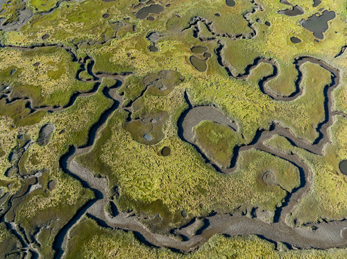 Estuary #721