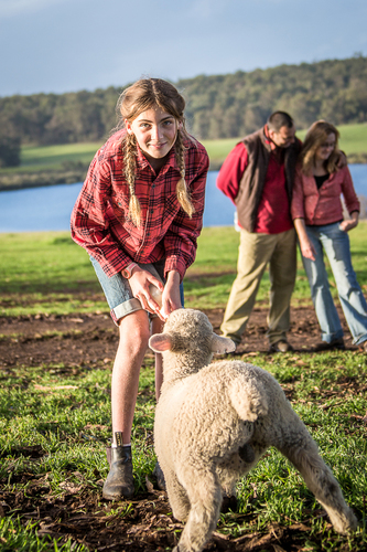 Feeding the lamb