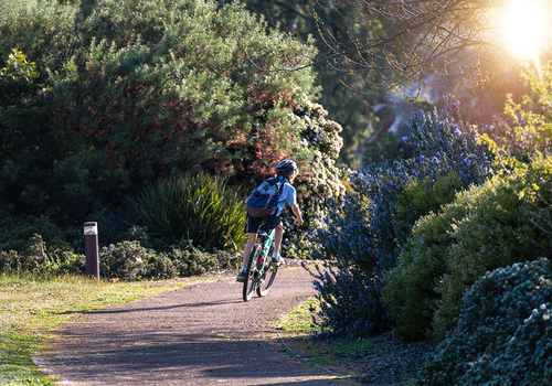 Riding to School