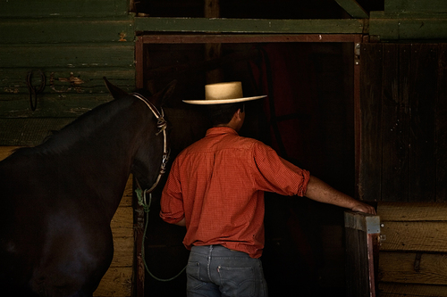 Chilean Cowboy