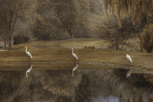 Guardians of the Lake (2)