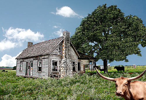 Country Home