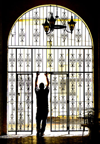 Filigree Man